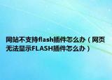 网站不支持flash插件怎么办（网页无法显示FLASH插件怎么办）