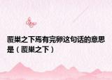 覆巢之下焉有完卵这句话的意思是（覆巢之下）
