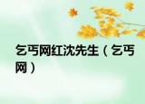 乞丐网红沈先生（乞丐网）