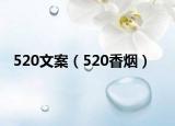 520文案（520香烟）