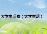 大学生活费（大学生活）