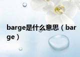 barge是什么意思（barge）