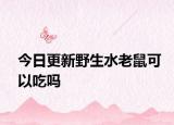 今日更新野生水老鼠可以吃吗