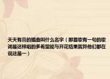 天天有喜的插曲叫什么名字（那首歌有一句的歌词是这样唱的多希望能与开花结果就算他们都在说这是一）