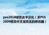 pes2018球员名字汉化（求PES2009修改中文球员名的修改器）