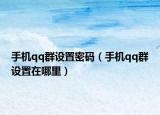 手机qq群设置密码（手机qq群设置在哪里）