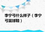 李宁弓什么样子（李宁弓篮球鞋）