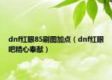 dnf红眼85刷图加点（dnf红眼吧精心奉献）