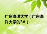 广东海洋大学（广东海洋大学的3A）