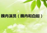 魏冉演员（魏冉和白起）