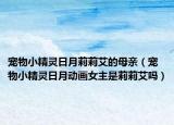 宠物小精灵日月莉莉艾的母亲（宠物小精灵日月动画女主是莉莉艾吗）