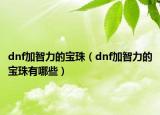 dnf加智力的宝珠（dnf加智力的宝珠有哪些）