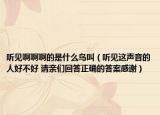 听见啊啊啊的是什么鸟叫（听见这声音的人好不好 请亲们回答正确的答案感谢）