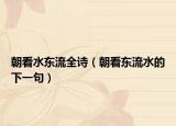 朝看水东流全诗（朝看东流水的下一句）