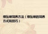 绿鬣蜥饲养方法（绿鬣蜥的饲养方式和技巧）