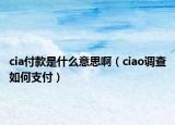 cia付款是什么意思啊（ciao调查如何支付）