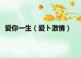 爱你一生（爱ト激情）