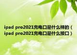 ipad pro2021充电口是什么样的（ipad pro2021充电口是什么接口）