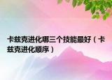 卡兹克进化哪三个技能最好（卡兹克进化顺序）