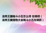 洛克王国格斗小五怎么得 在哪得（洛克王国宠物大全格斗小五在哪抓）