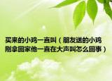 买来的小鸡一直叫（朋友送的小鸡刚拿回家他一直在大声叫怎么回事）