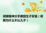 何琳陈坤分手原因生子实情（何琳为什么不认儿子）