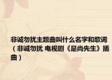 非诚勿扰主题曲叫什么名字和歌词（非诚勿扰 电视剧《是尚先生》插曲）