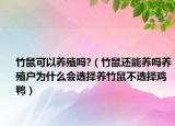 竹鼠可以养殖吗?（竹鼠还能养吗养殖户为什么会选择养竹鼠不选择鸡鸭）