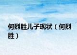 何烈胜儿子现状（何烈胜）