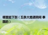 哪里能下到（五条大路通阴间 泰国的）
