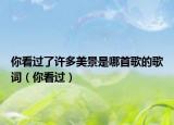 你看过了许多美景是哪首歌的歌词（你看过）