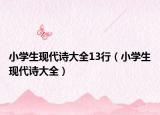 小学生现代诗大全13行（小学生现代诗大全）