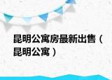 昆明公寓房最新出售（昆明公寓）