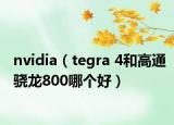 nvidia（tegra 4和高通骁龙800哪个好）