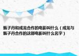 甄子丹和成龙合作的电影叫什么（成龙与甄子丹合作的这部电影叫什么名字）
