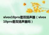vivos10pro是双扬声器（vivos10pro是双扬声器吗）