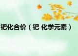 钯化合价（钯 化学元素）
