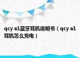 qcy a1蓝牙耳机说明书（qcy a1耳机怎么充电）