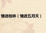 情迷柏林（情迷五月天）