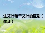生艾叶和干艾叶的区别（生艾）