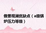傲景观澜优缺点（a级锅炉压力等级）