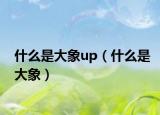 什么是大象up（什么是大象）