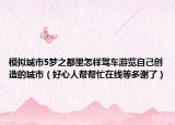 模拟城市5梦之都里怎样驾车游览自己创造的城市（好心人帮帮忙在线等多谢了）