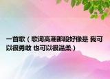 一首歌（歌词高潮那段好像是 我可以很勇敢 也可以很温柔）