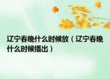 辽宁春晚什么时候放（辽宁春晚什么时候播出）