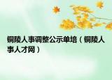 铜陵人事调整公示单培（铜陵人事人才网）