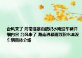 台风来了 海南遇暴雨致积水淹没车辆详细内容 台风来了 海南遇暴雨致积水淹没车辆具体介绍