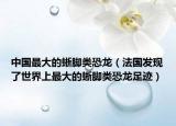 中国最大的蜥脚类恐龙（法国发现了世界上最大的蜥脚类恐龙足迹）