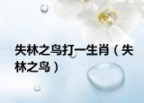 失林之鸟打一生肖（失林之鸟）