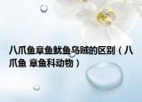 八爪鱼章鱼鱿鱼乌贼的区别（八爪鱼 章鱼科动物）